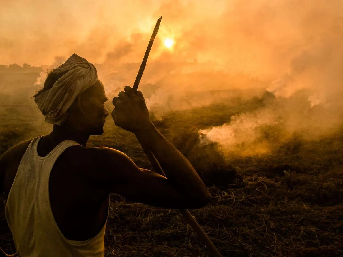 Stubble burning: A farmhand watches over a field of burning stubble in Assam, India.