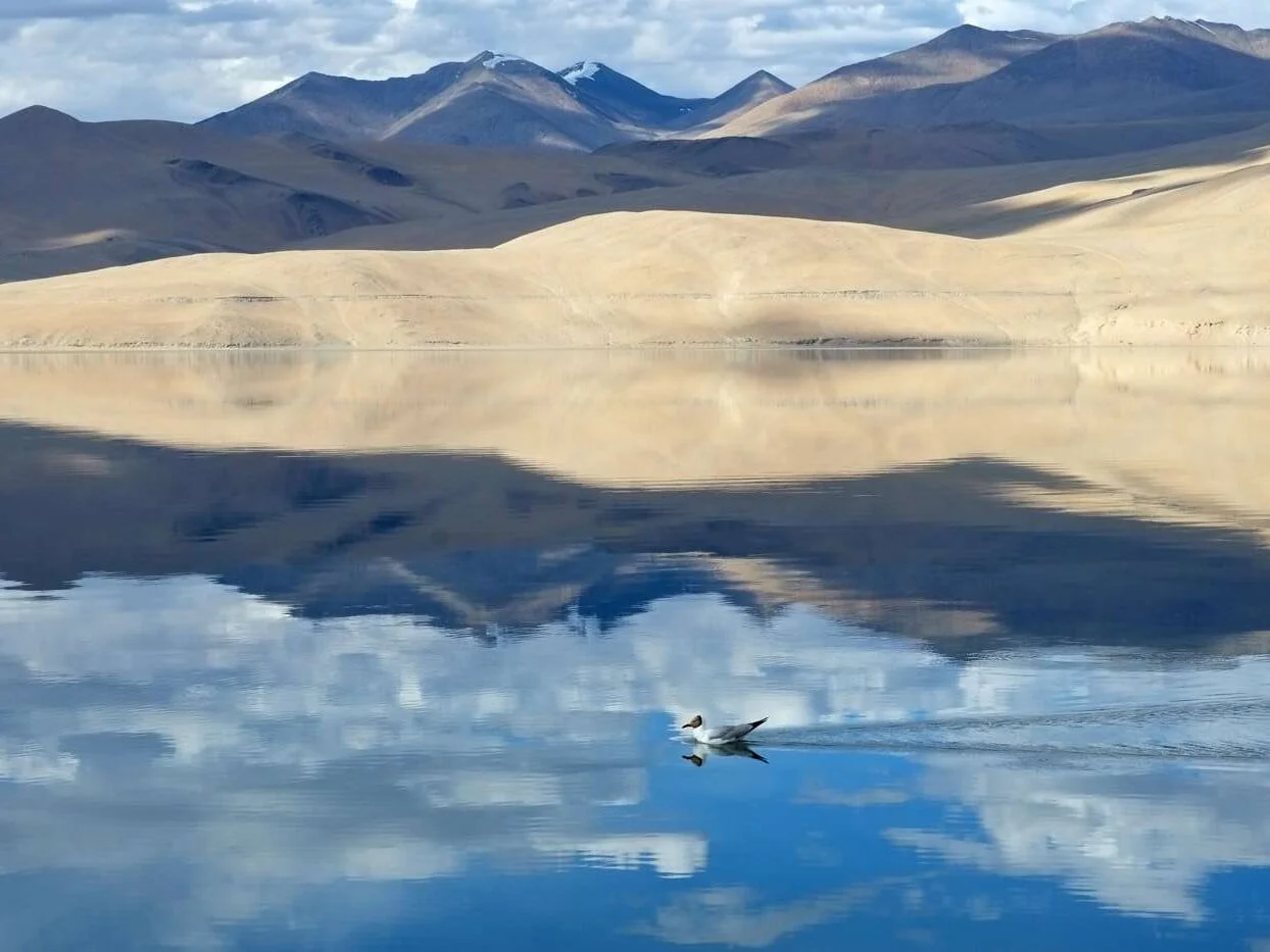 Ladakh photography tour: landscape photo