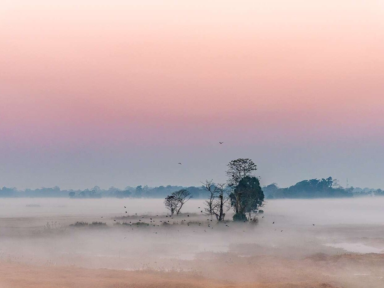 In Assam, India, delicate colours and hovering river-smoke greet photographers and fishermen at dawn.