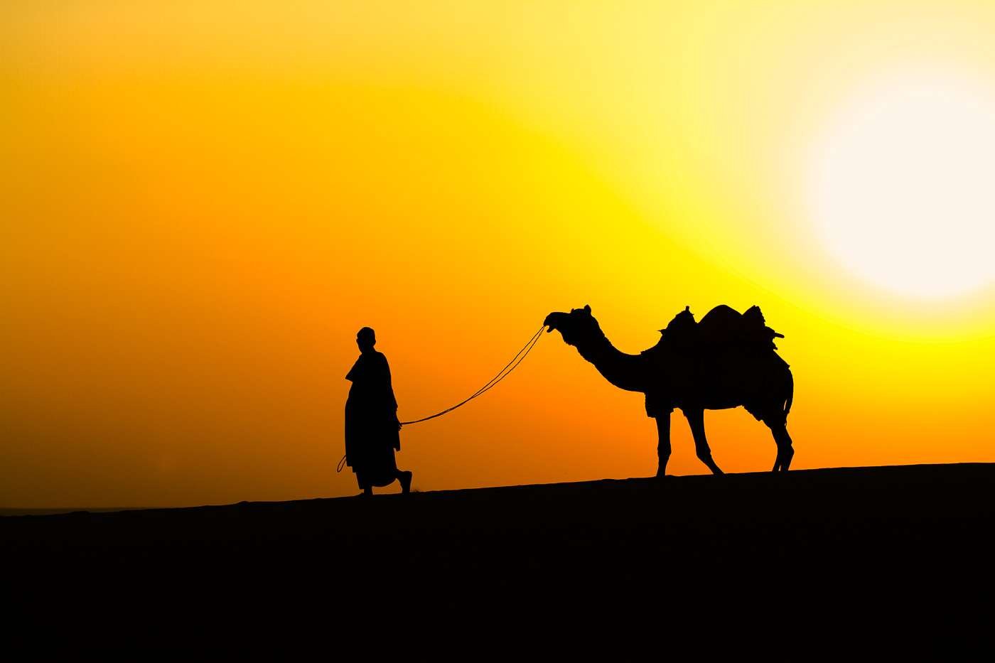 A camel-driver heads home over a dune at sunset at the Pushkar Camel Fair, Rajasthan.
